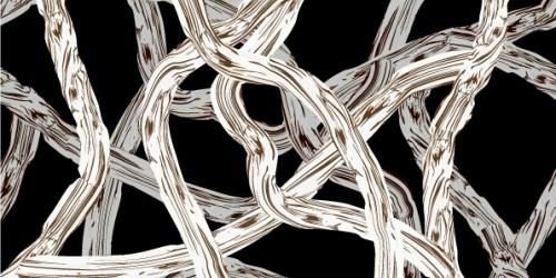 9 Potential Complications You Will Probably Develop If You Are Diagnosed With ALS